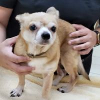 Outback Animal Clinic: Proutsos Regina DVM, Bouton Rachel DVM ico