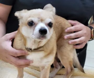 Outback Animal Clinic: Proutsos Regina DVM, Bouton Rachel DVM
