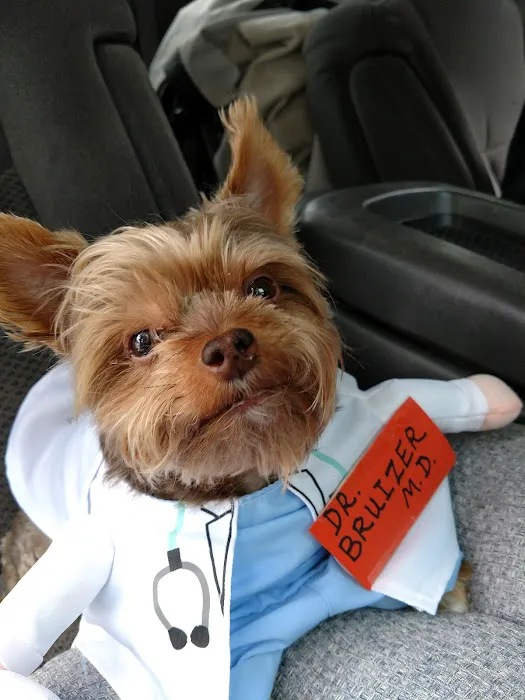 Narcoossee Animal Hospital 5