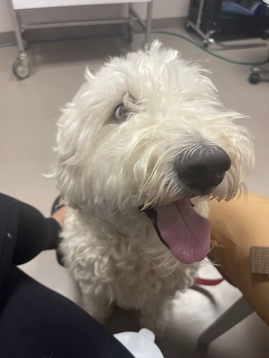 Narcoossee Animal Hospital 6