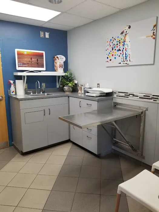 Saint Francis Animal Hospital 8