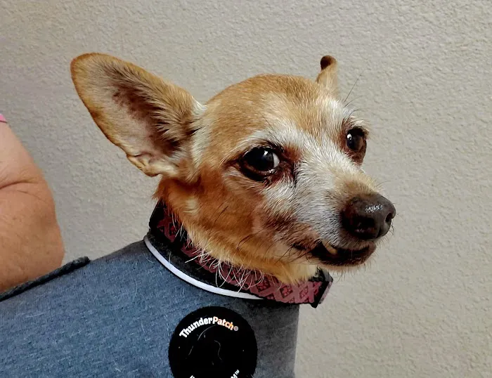 Countryside Animal Hospital 3