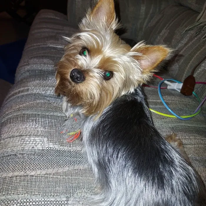 Lakeland Animal Clinic 12
