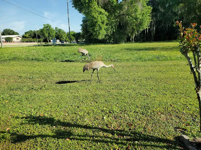Lakeland Animal Clinic 12