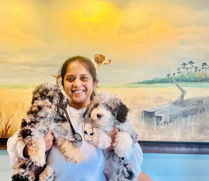 Animal Medical Clinic Lakeland 8