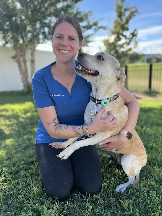 Paws Plus Veterinary 8