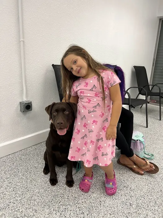 Paws Plus Veterinary 9