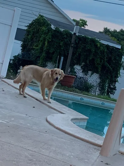 SPCA Florida Medical Center 2
