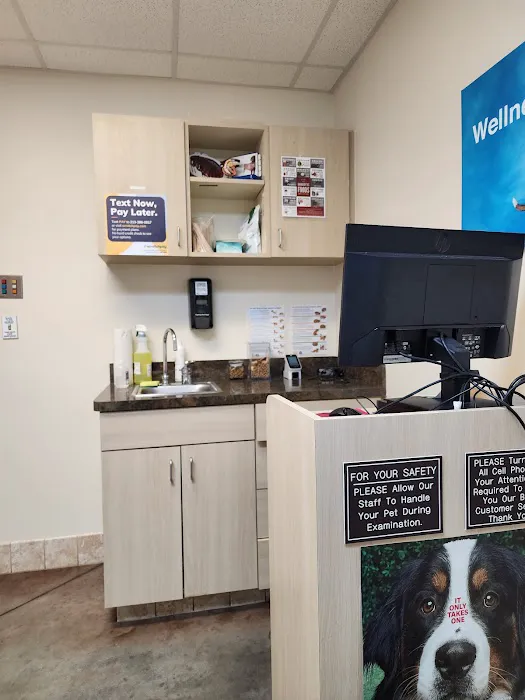 SPCA Florida Medical Center 3