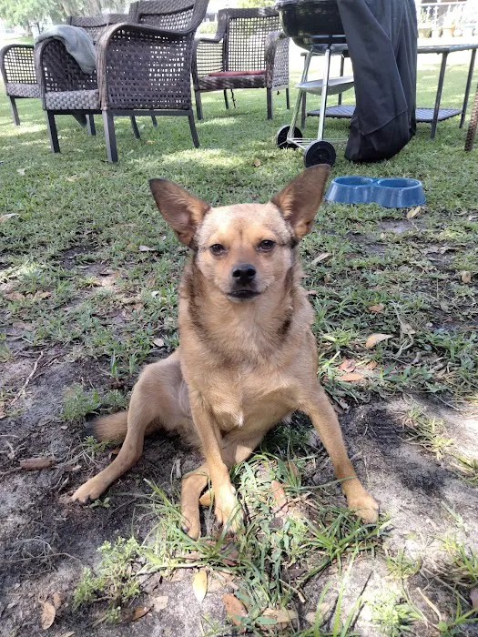 SPCA Florida Medical Center 9