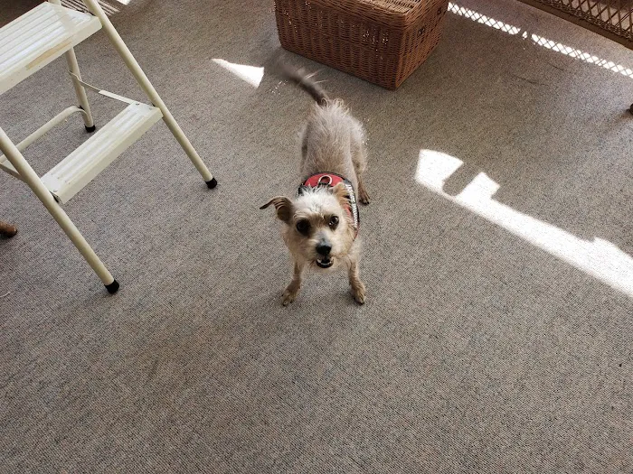 TLC PetSnip, Inc 7