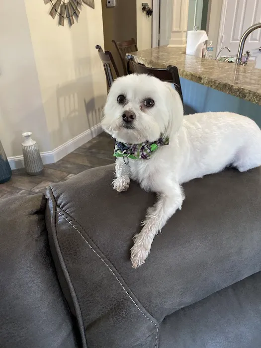 TLC PetSnip, Inc 9