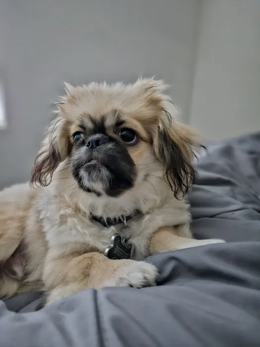 Banfield Pet Hospital 3