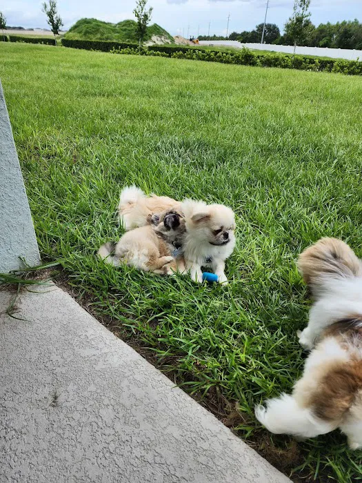 Banfield Pet Hospital 9