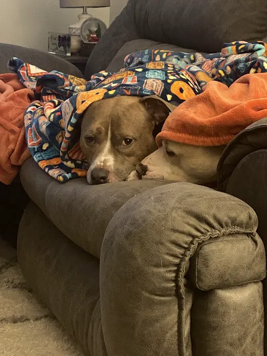 Banfield Pet Hospital 6