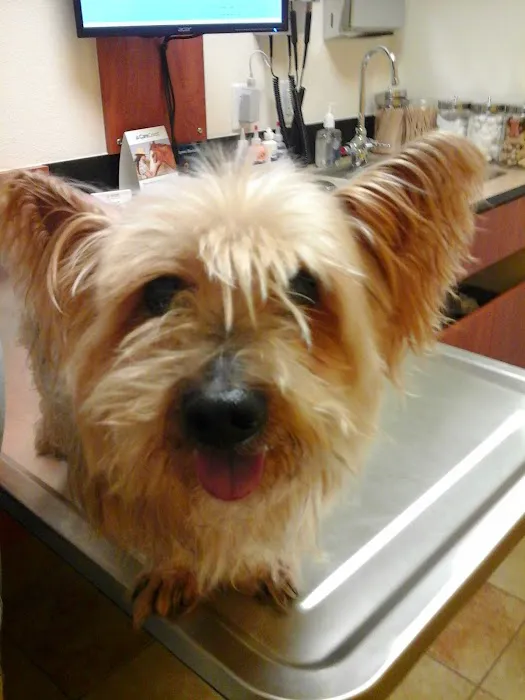 Banfield Pet Hospital 8