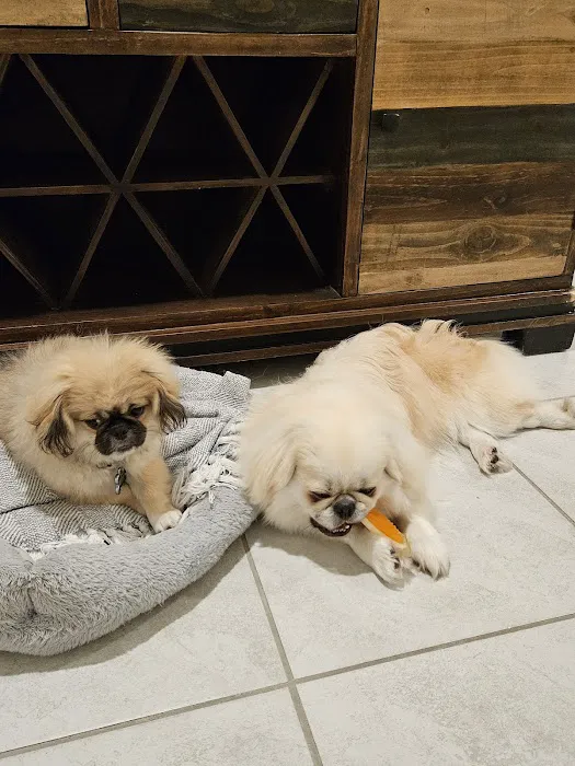 Banfield Pet Hospital 7