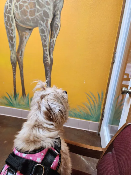 Dade City Animal Clinic 1