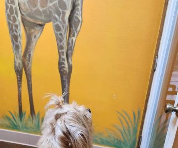 Dade City Animal Clinic