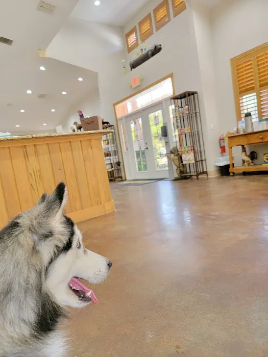 Dade City Animal Clinic 6