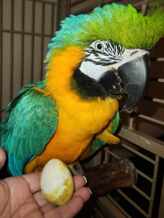 Dade City Animal Clinic 7