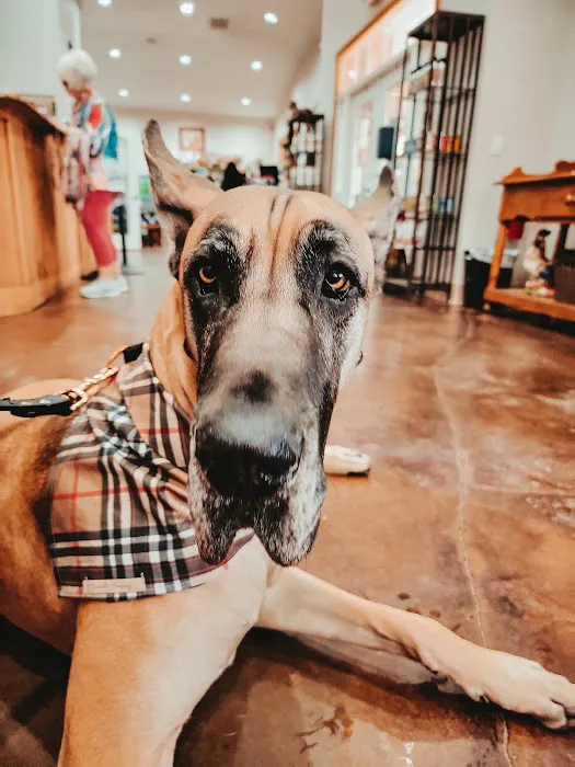 Dade City Animal Clinic 5