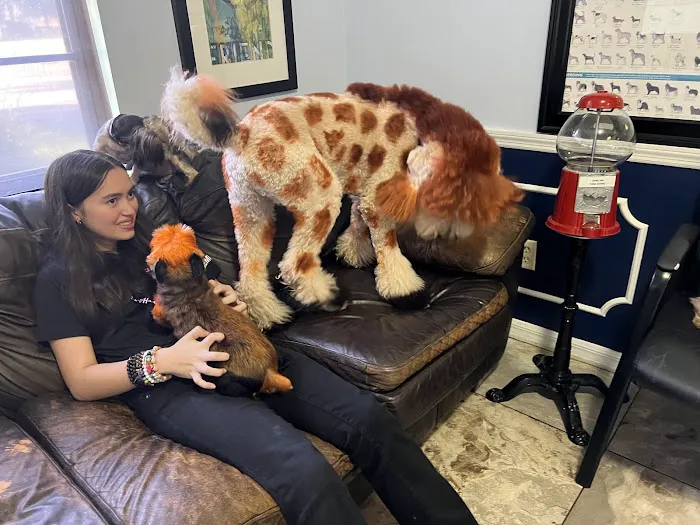 Blake Veterinary Hospital 12