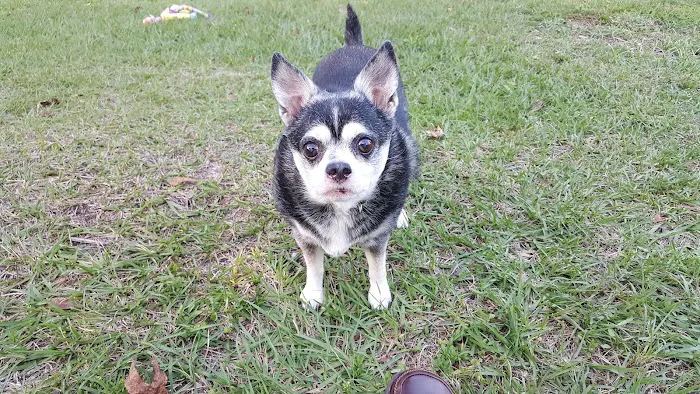 Blake Veterinary Hospital 12
