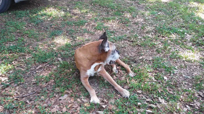 Blake Veterinary Hospital 12
