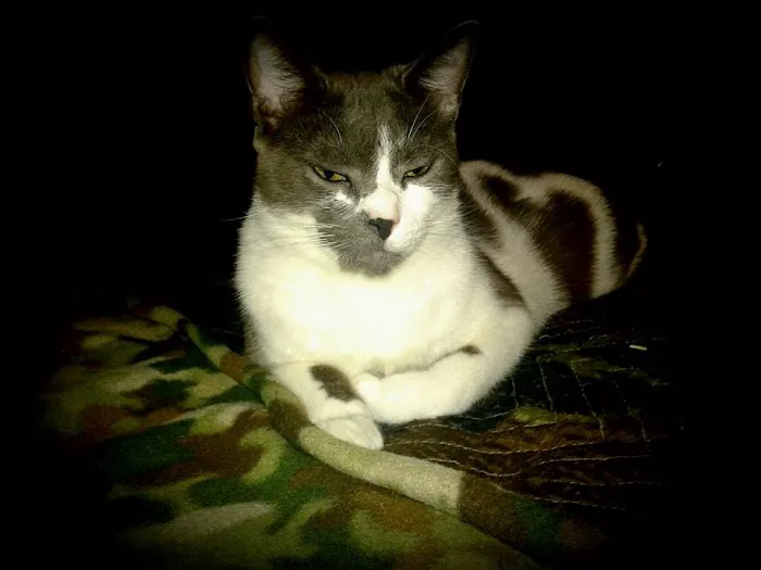 Blake Veterinary Hospital 12