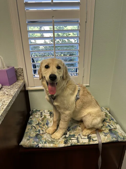 San Antonio Animal Hospital 12