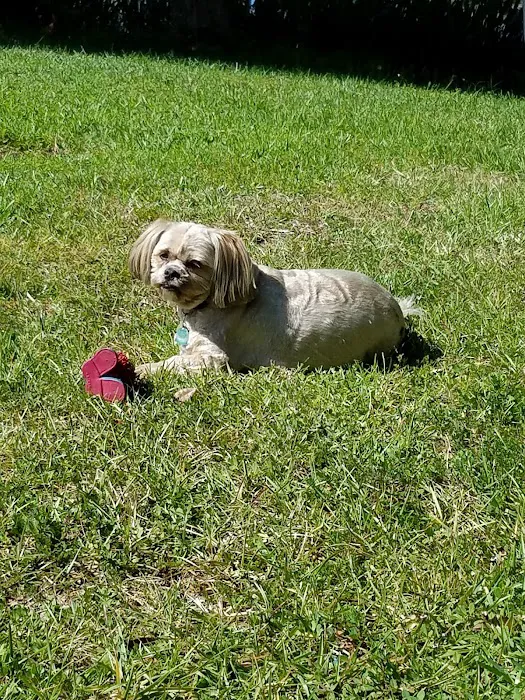 San Antonio Animal Hospital 12