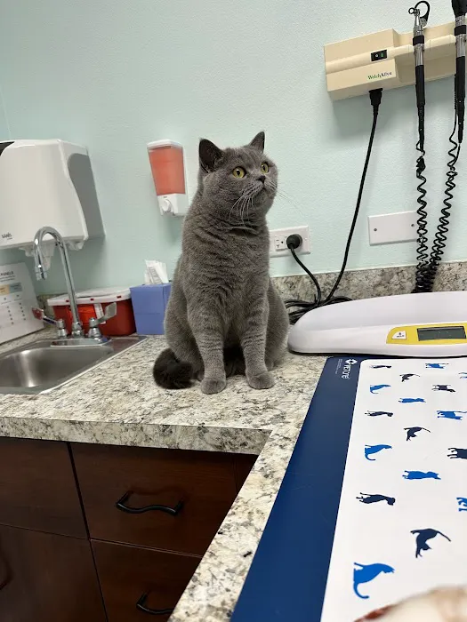 San Antonio Animal Hospital 12