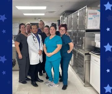 Ellenton Animal Hospital