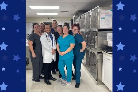 Ellenton Animal Hospital