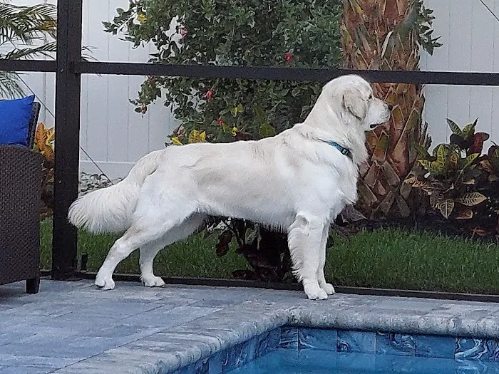 Ellenton Animal Hospital 2