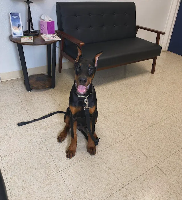 Ellenton Animal Hospital 9