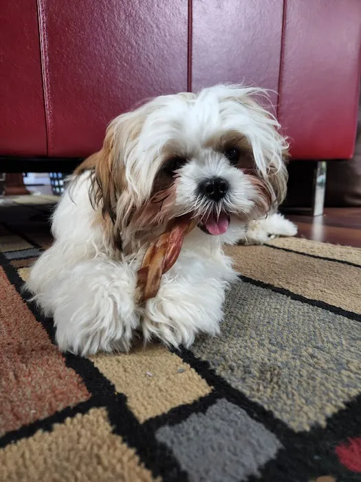 Ellenton Animal Hospital 7