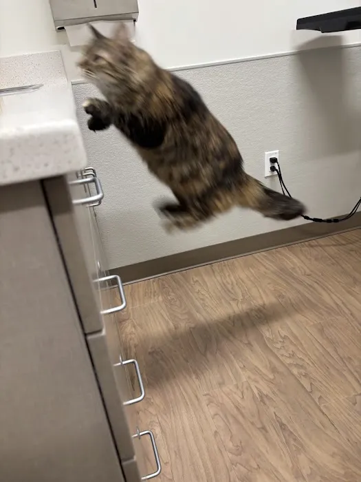 Watson's Friends Animal Hospital 12