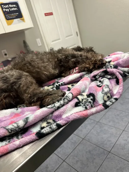 Kathleen Animal Hospital: Stansberry Christopher DVM 1