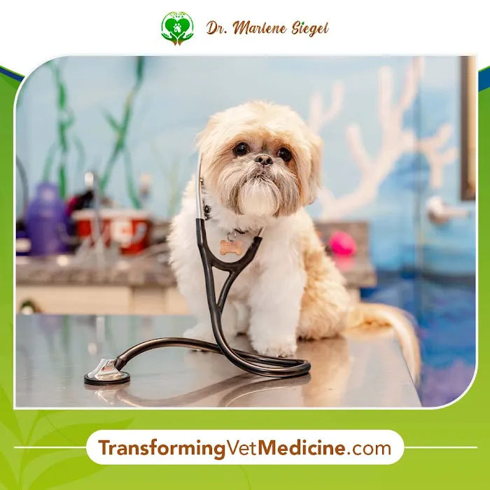 Dr. Marlene Siegel DVM 10