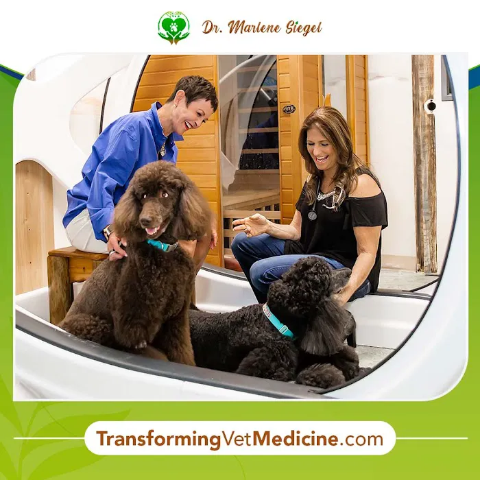 Dr. Marlene Siegel DVM 3
