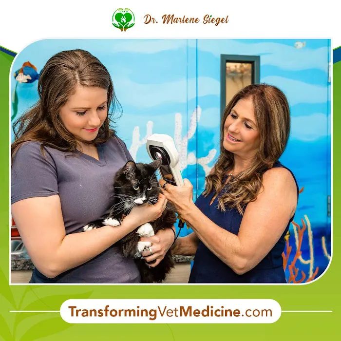 Dr. Marlene Siegel DVM 6