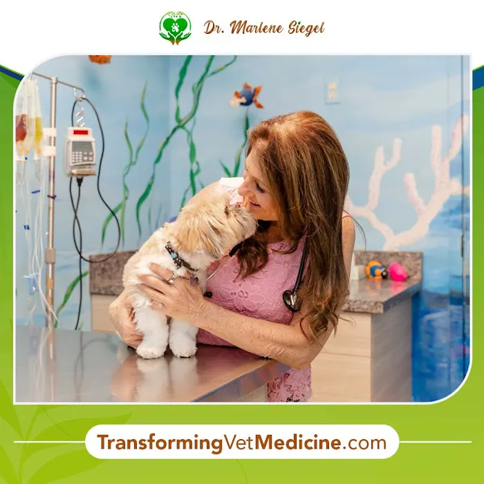 Dr. Marlene Siegel DVM 9