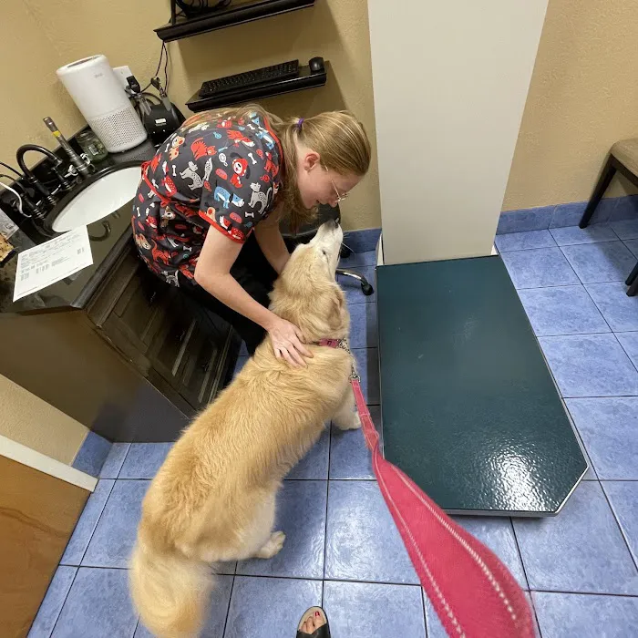Hidden Oaks Animal Hospital 12