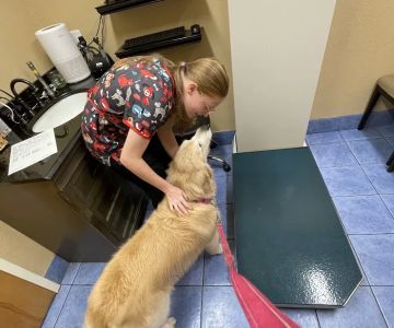 Hidden Oaks Animal Hospital
