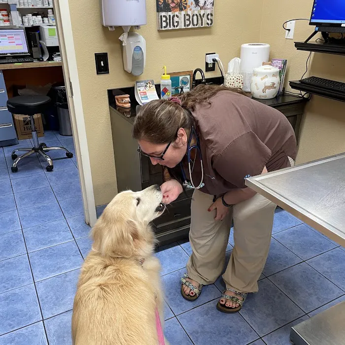 Hidden Oaks Animal Hospital 12