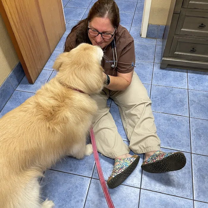 Hidden Oaks Animal Hospital 12