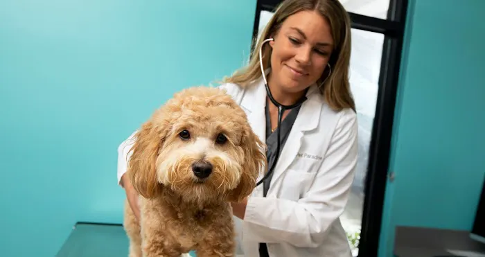 NewDay Veterinary Care 12