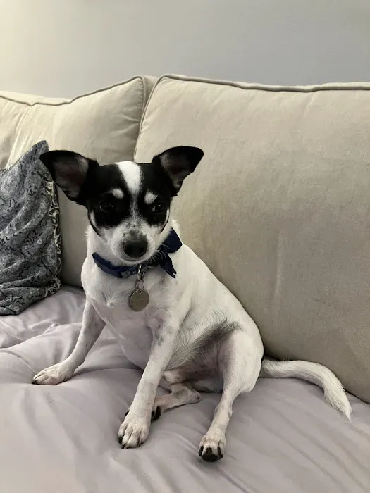 Braden River Animal Hospital 3